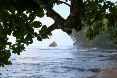 Pura Vida - Bu güzel Kosta Rika olduğunu