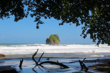 Pura Vida - Bu güzel Kosta Rika olduğunu