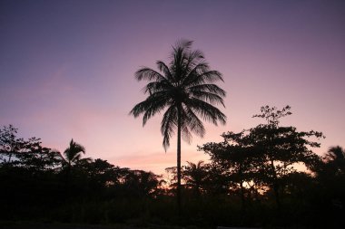 Pura Vida - Bu güzel Kosta Rika olduğunu