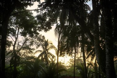 Pura Vida - Bu güzel Kosta Rika olduğunu