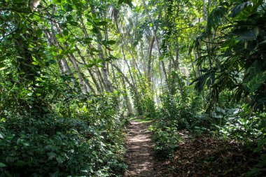 Pura Vida - Bu güzel Kosta Rika olduğunu