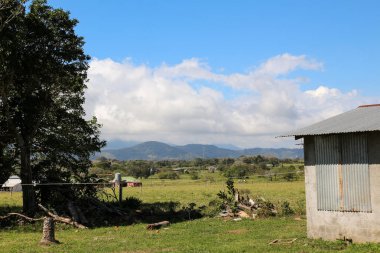 Pura Vida - Bu güzel Kosta Rika olduğunu