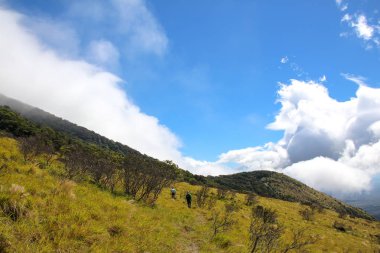 Pura Vida - Bu güzel Kosta Rika olduğunu