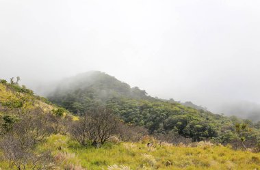 Pura Vida - Bu güzel Kosta Rika olduğunu