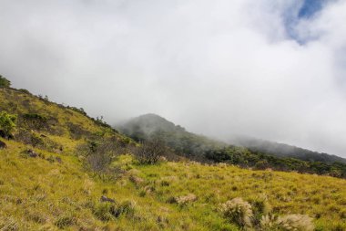 Pura Vida - Bu güzel Kosta Rika olduğunu