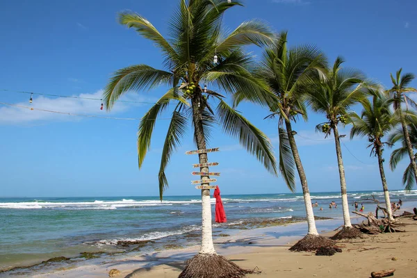 Pura vida - das ist die schöne costa rica — Stockfoto