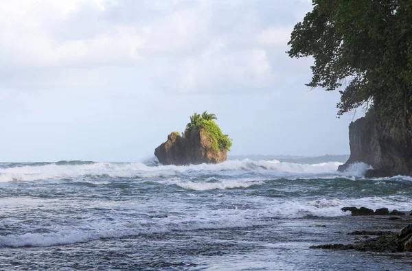 Pura vida - das ist die schöne costa rica — Stockfoto