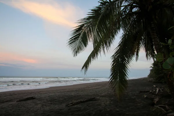 Pura Vida - Это красивая Коста-Рика — стоковое фото