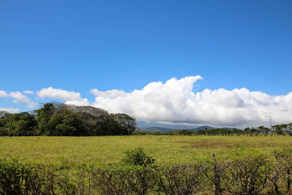 Pura Vida - This is beautiful Costa Rica — Stock Photo, Image