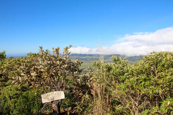 Pura Vida - Esta é bela Costa Rica — Fotografia de Stock