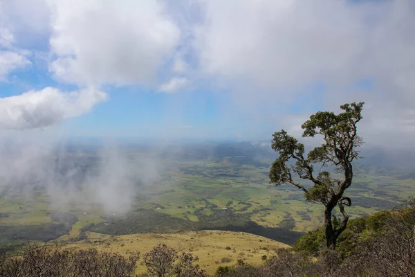 Pura Vida - Esta é bela Costa Rica — Fotografia de Stock