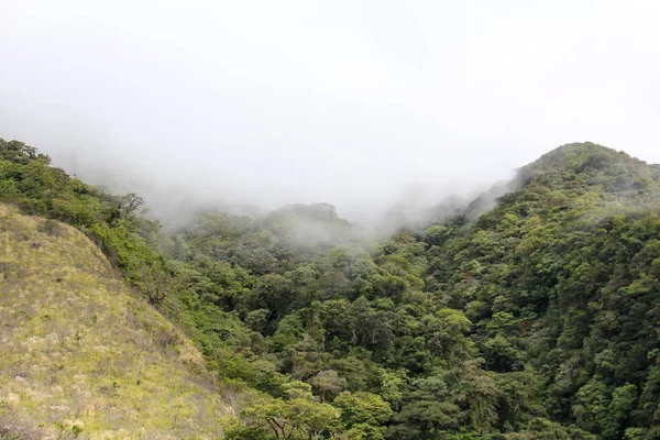 Pura Vida-dit is prachtig Costa Rica — Stockfoto