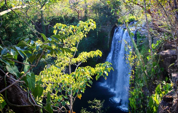 Pura Vida-Toto je krásná Kostarika — Stock fotografie