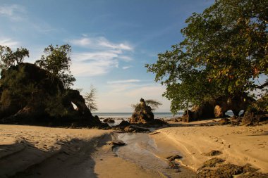 Bu Güney Doğu Asya 'da Tayland olduğunu