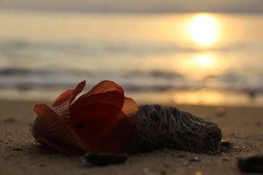 Bu Güney Doğu Asya 'da Tayland olduğunu