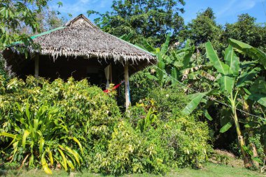 Bu Güney Doğu Asya 'da Tayland olduğunu