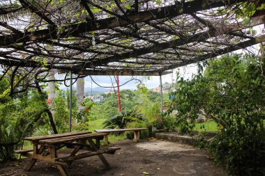 Bir karayip rüyası - Jamaika seyahat