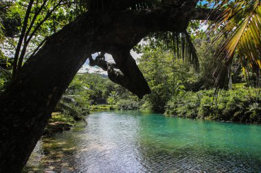 Bir karayip rüyası - Jamaika seyahat