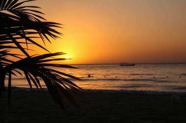 Bir karayip rüyası - Jamaika seyahat