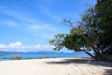 Asya 'daki Filipinler' den harika izlenimler