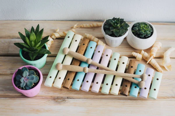 Xylophone is made of natural wood. Wooden sticks for musical instruments. Musical instrument made of natural wood without the use of plastic. Succulents in small pretty pots.