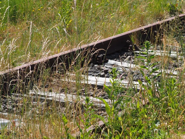 Stillgelegte Bahngleise Mit Gras Ueberwuchert — Stockfoto