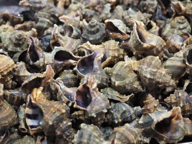 Muscheln auf einem markt zum verkauf 