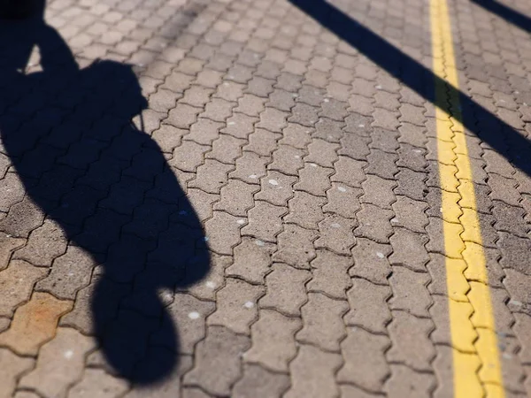 schatten auf dem Pflaster 