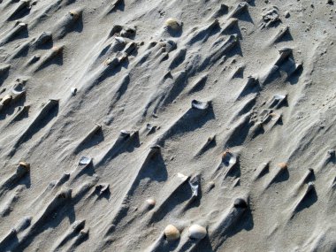 rüzgarda kabukları ile kum 