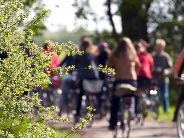 Bahar biketour, dışında 