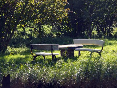 Nehir Krueckau kıyı şeridi ufuk çizgisi, sonbaharda sudan manzara