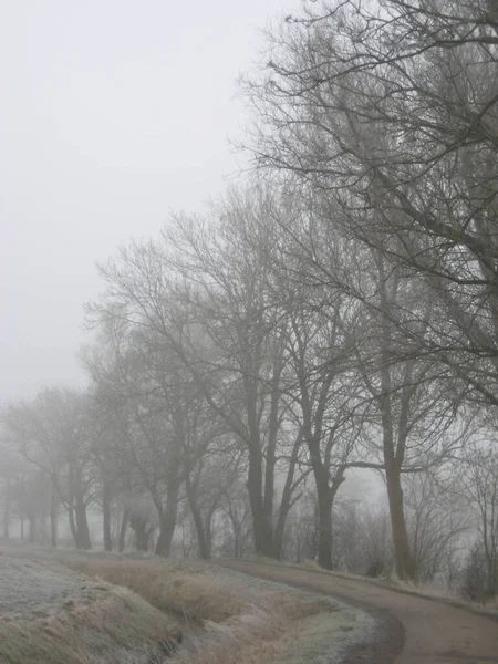 春には霜が降り3月には霧が立ち ロイヤリティフリーのストック写真