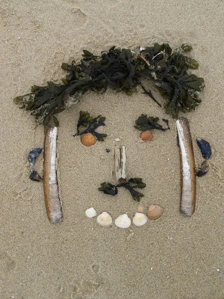 Landart Praia Com Conchas — Fotografia de Stock