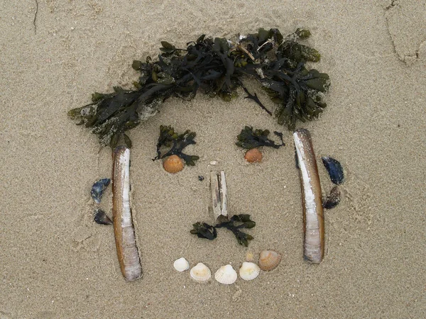 Land Art Made Wit Shells Beach Owener — Stock Photo, Image