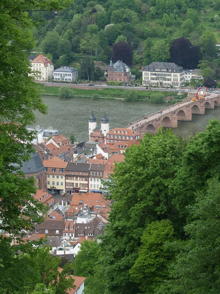 View Heidelberg Baden Wuertemberg Skyline — Stock Photo, Image