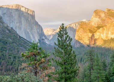 Altın renkli yatay atış bir dağ vadinin Yosemite, ABD. Dağ şelale içinde belgili tanımlık geçmiş ile altın rengi görebilirsiniz