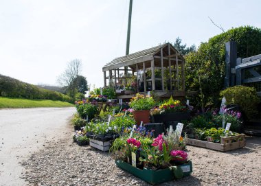 Küçük bir englis yerel bir çiçekçi tarafından kurulan küçük bir çiçek tezgahı