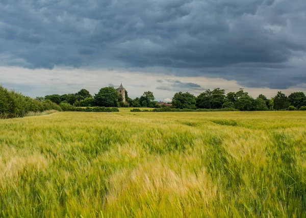 Landscape Colour Image Farmer Field Mid Summer Yorkshire England Background Royalty Free Stock Photos