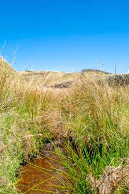 Küçük bir dere Yorkshire M vahşi fundalık arasında gizler