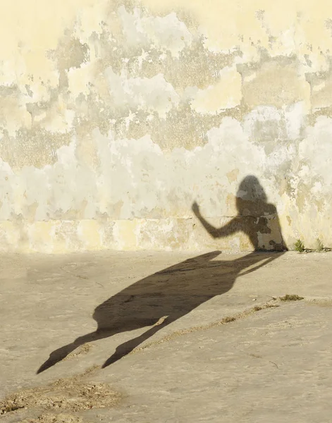 Silhouette Femme Figure Sur Fond Mur Naturel Les Femmes Figurent — Photo