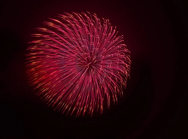 Increíbles Fuegos Artificiales Aislados Fondo Oscuro Cerca Con Lugar Para — Foto de Stock