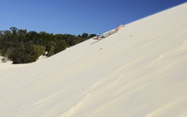 Dunes, Cairns, Avustralya içinde adam sandboarding. Adam sandboarding çölde - aşırı çöl etkinlik. Yaz aktiviteleri. Boş zaman. Spor. Hareketi