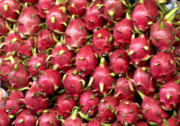 Harvest Dragon Fruit Background Fresh Healthy Fruits Popular Vietnam Thailand — Stock Photo, Image