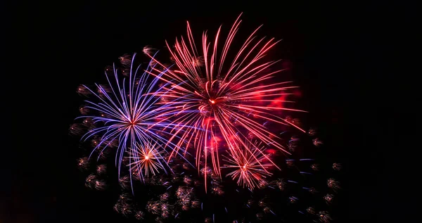 Fondo Fuegos Artificiales Fuegos Artificiales Violetas Aislados Fondo Oscuro Con — Foto de Stock