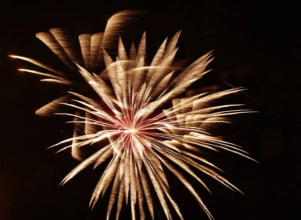 Goldene Orange Erstaunliche Feuerwerk Isoliert Dunklem Hintergrund Nahaufnahme Vertikales Foto — Stockfoto