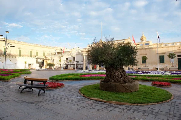 Valletta Malta May 2019 Green Festival Valletta Malta Beautiful Day — Stock Photo, Image