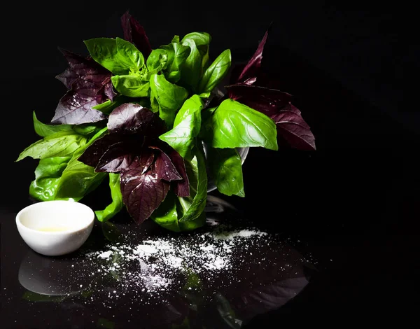 Fresh green basil plant for healthy cooking, herbs and spices.Fresh basil on a dark background. Green basil. Food background.Oil, garlic, salt, fresh basil leaves, studio photo