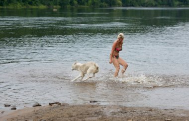 Bikinili beyaz sarışın kadın nehirde Hasky Dog 'la oynuyor ve güzel bir yaz gününün tadını çıkarıyor. Haski köpeğiyle evcil hayvan sever.