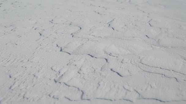 Textura de cubierta dura de nieve — Vídeos de Stock