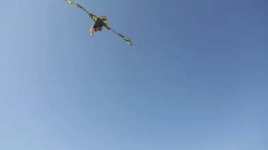 Havada bir uçurtma 1